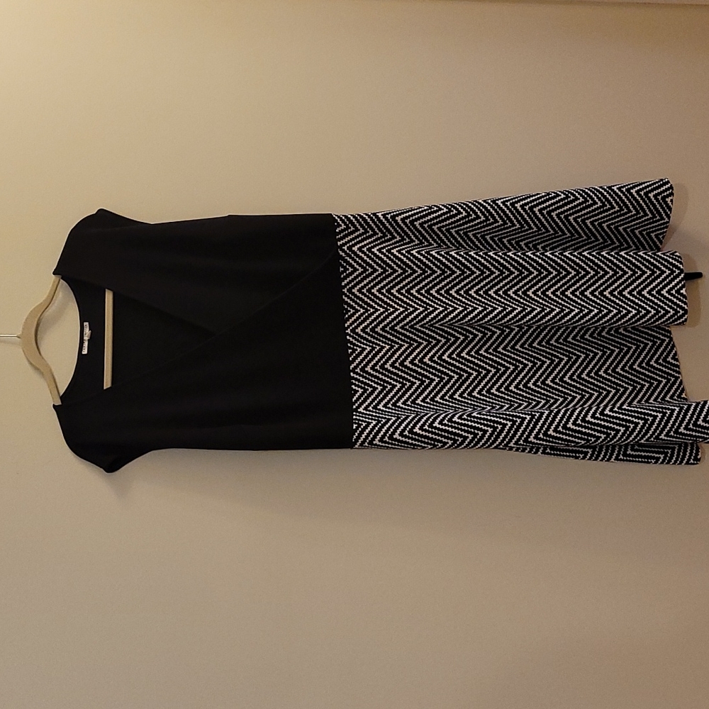 Sandra Darren Sleeveless Dress 24W